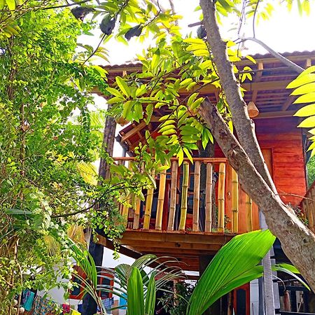 Parrot Tree House Villa Mirissa Buitenkant foto