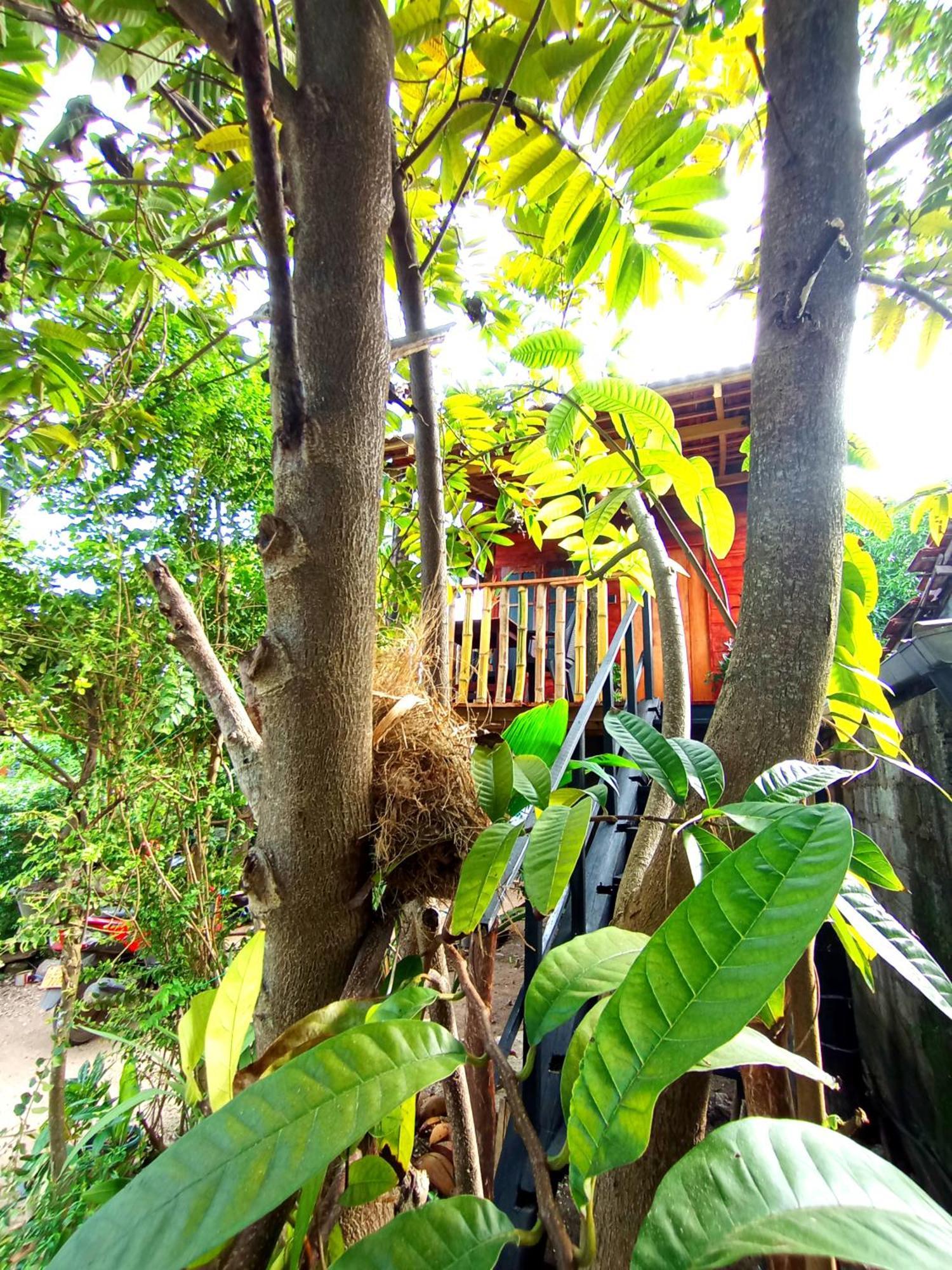Parrot Tree House Villa Mirissa Buitenkant foto