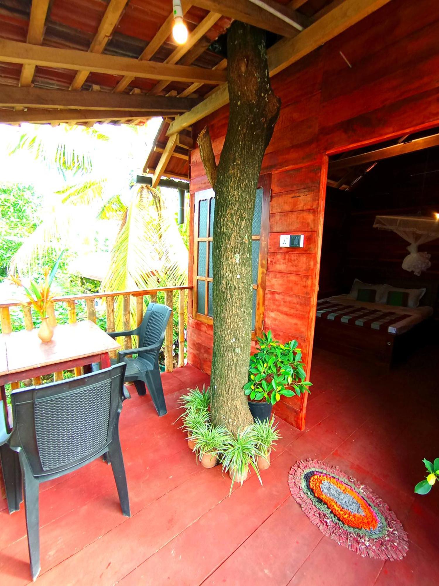 Parrot Tree House Villa Mirissa Buitenkant foto