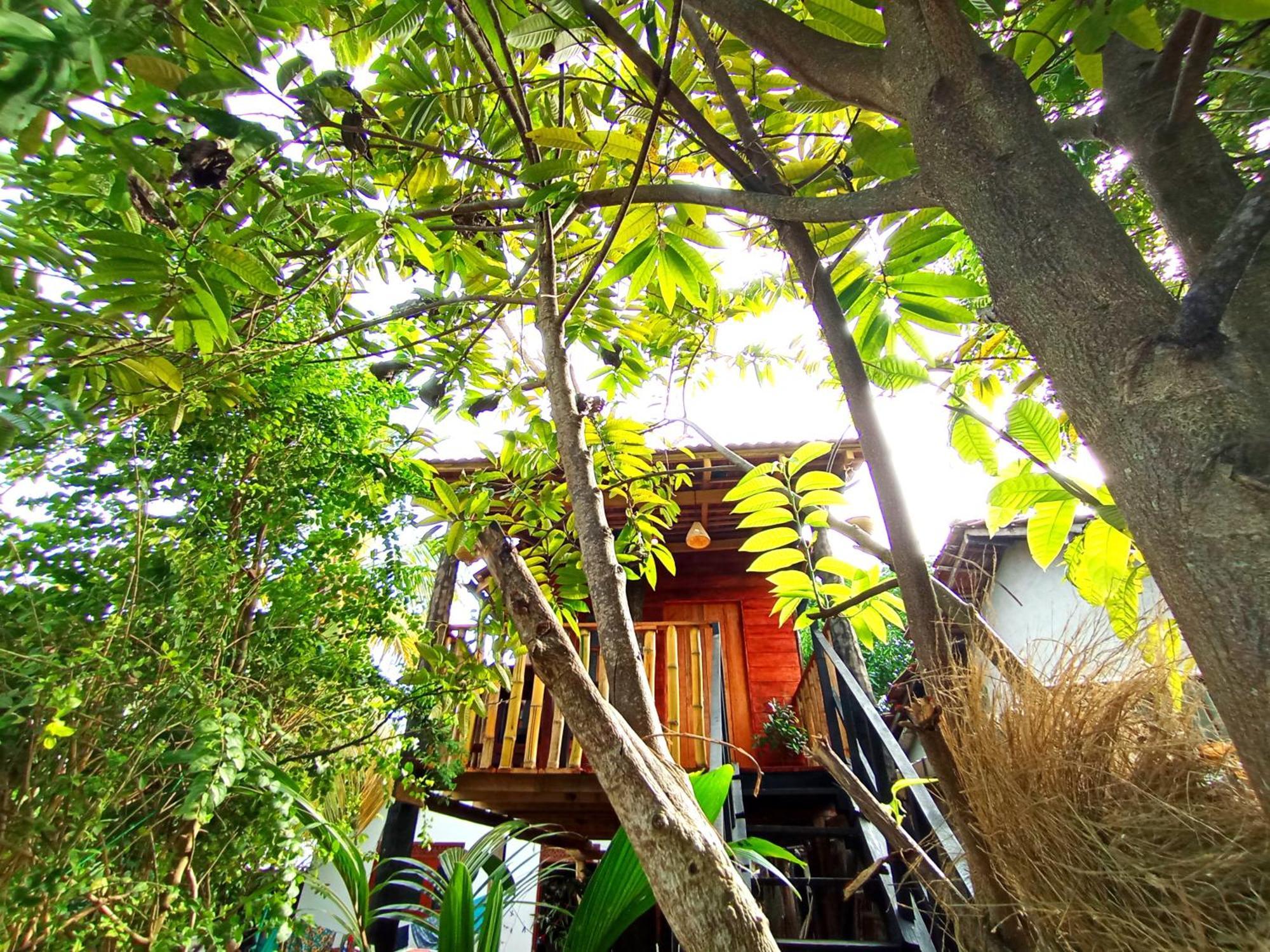 Parrot Tree House Villa Mirissa Buitenkant foto